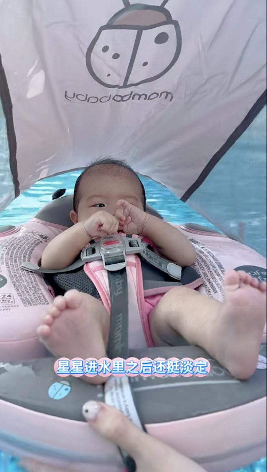 連詩雅 陳星頤