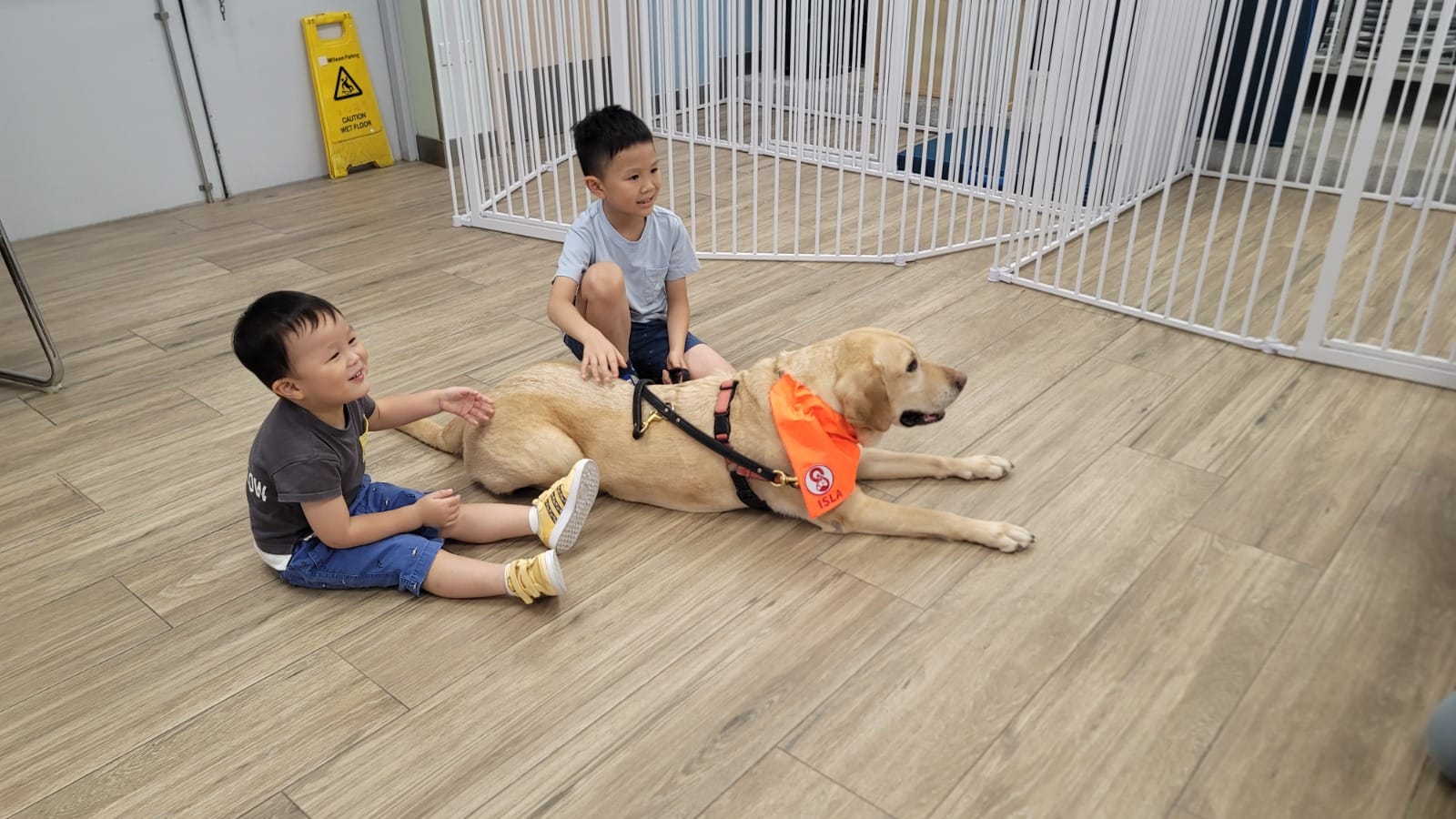 香港導盲犬協會