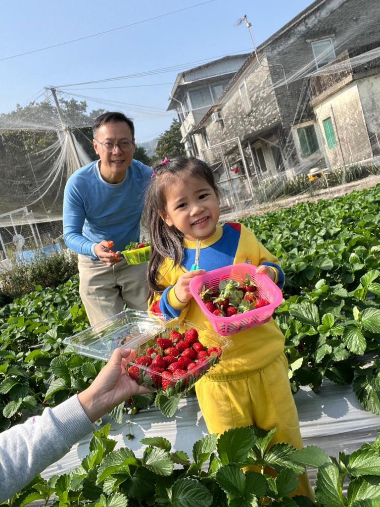 士多啤梨 士多啤梨園 親子好去處