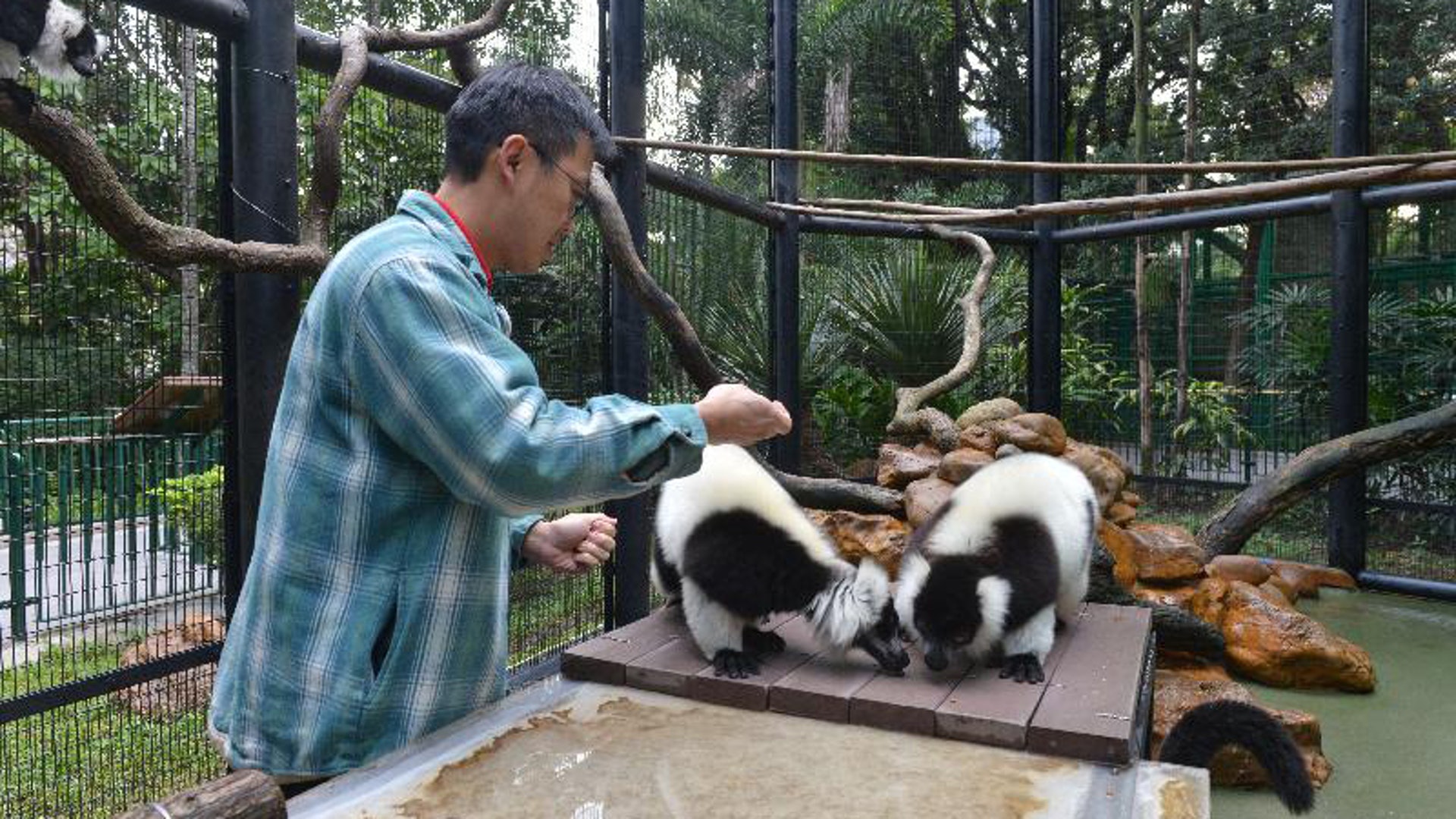 香港動植物公園