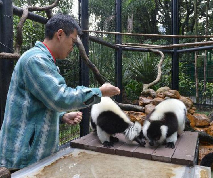 親子好去處｜香港動植物公園哺乳動物區重開！免費參加「動物護理聚談」 近距離認識園內動物！飼養員分享日常照顧動物心得