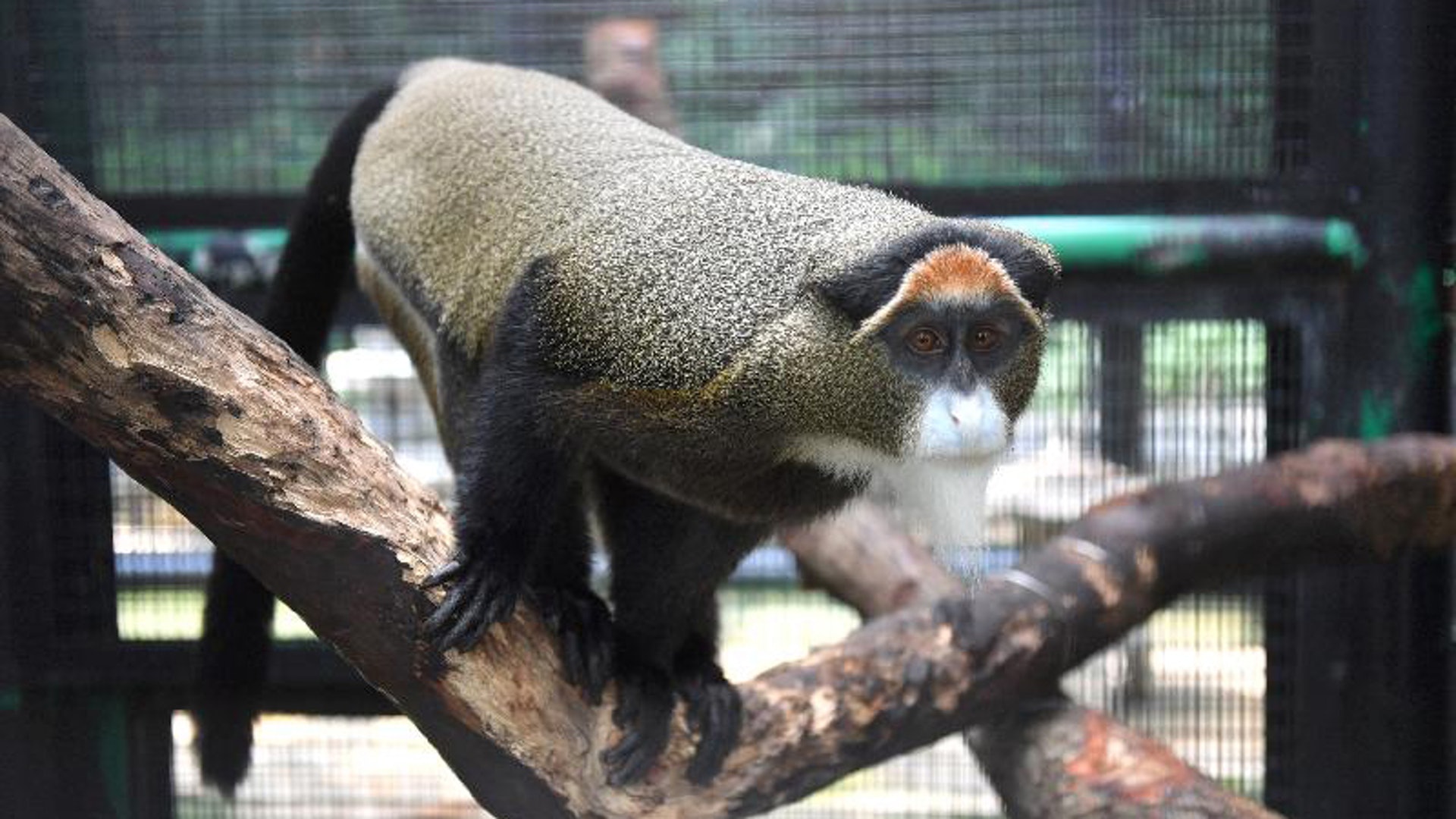 香港動植物公園