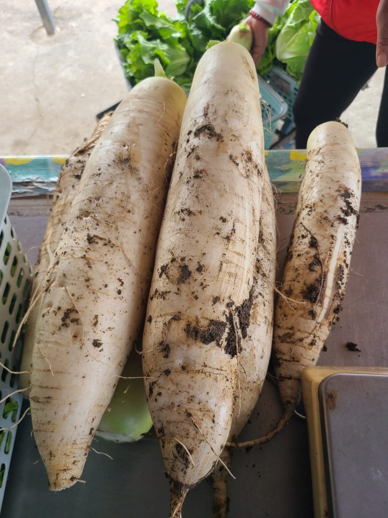 朗屏士多啤梨葡萄園種植了各種不同品種的士多啤梨。（圖片來源︰FB@朗屏士多啤梨葡萄園）