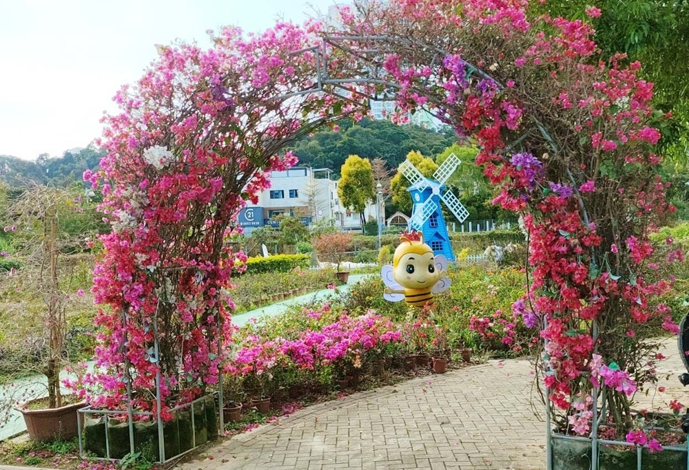 親子好去處 蝶豆花園 有機農莊 假日好去處