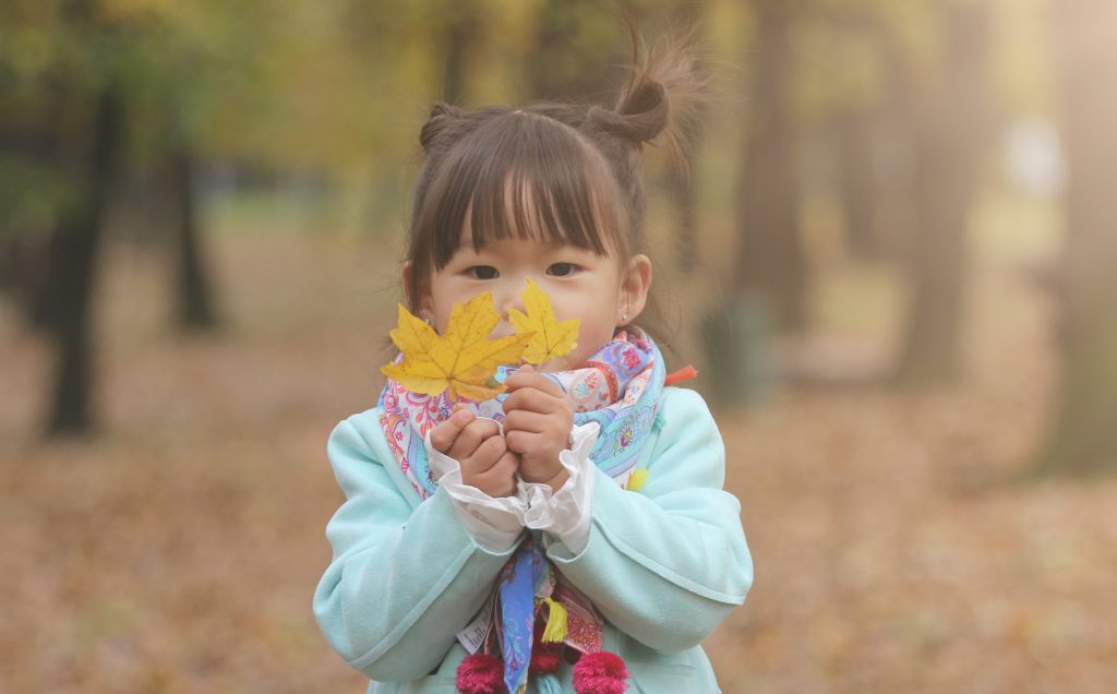 香港紅葉2025 2025年 紅葉