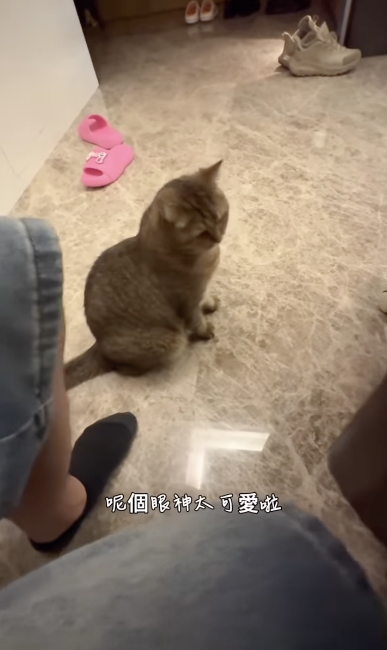 高鈞賢