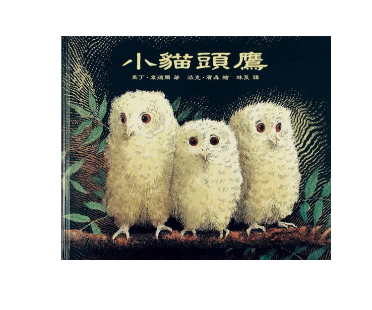 《小貓頭鷹》故事中，3隻小貓頭鷹醒來時找不到媽媽，之後會發生甚麼事？