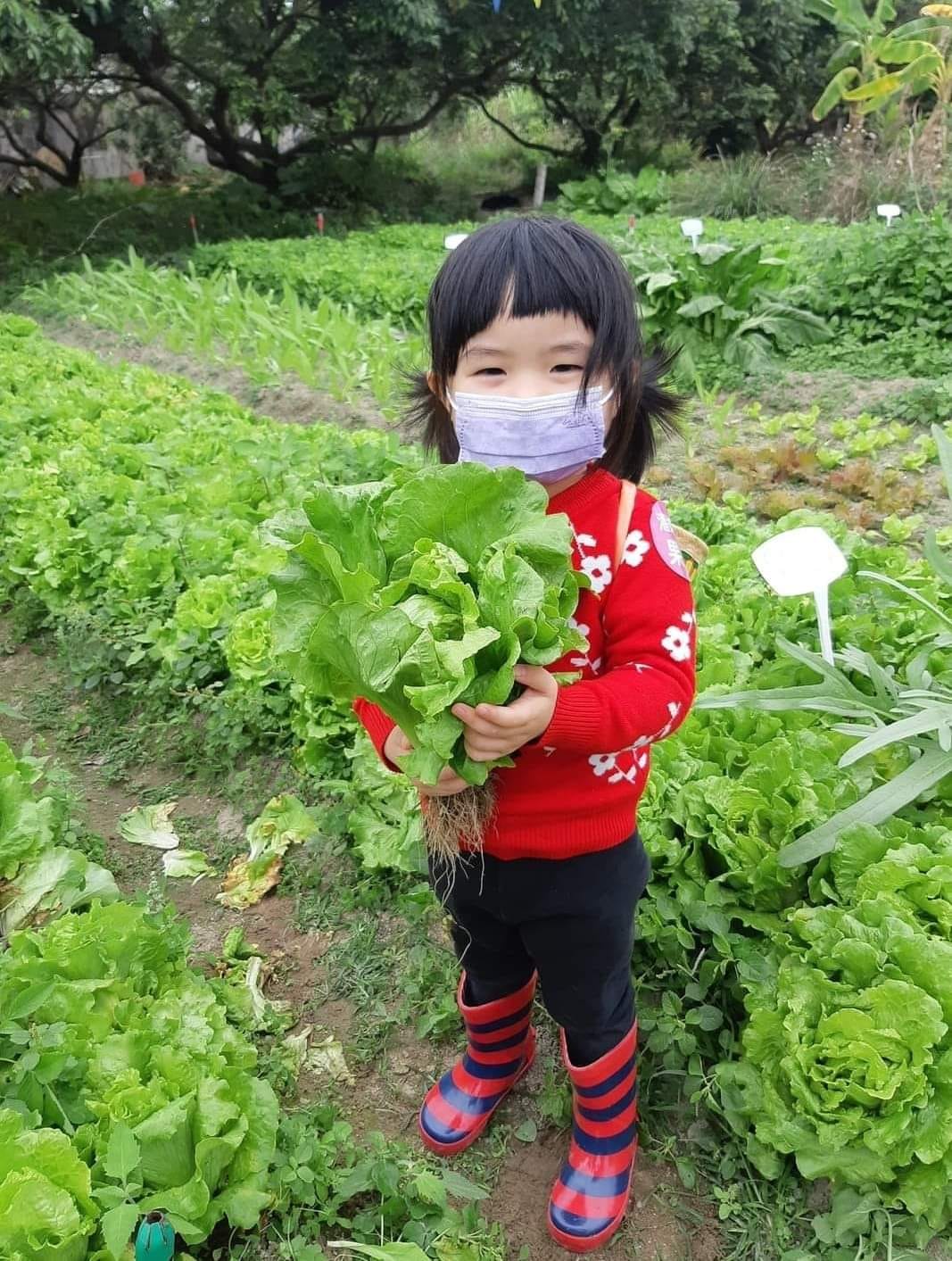 潘媽媽果園