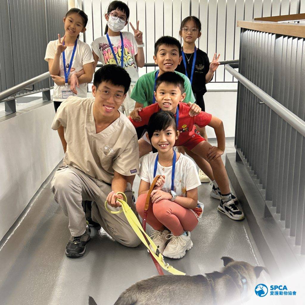 親子好去處 動物護理員 愛護動物
