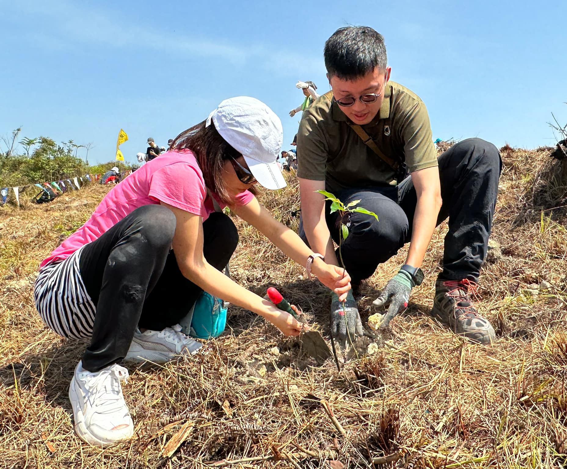 郊野公園遠足植樹日