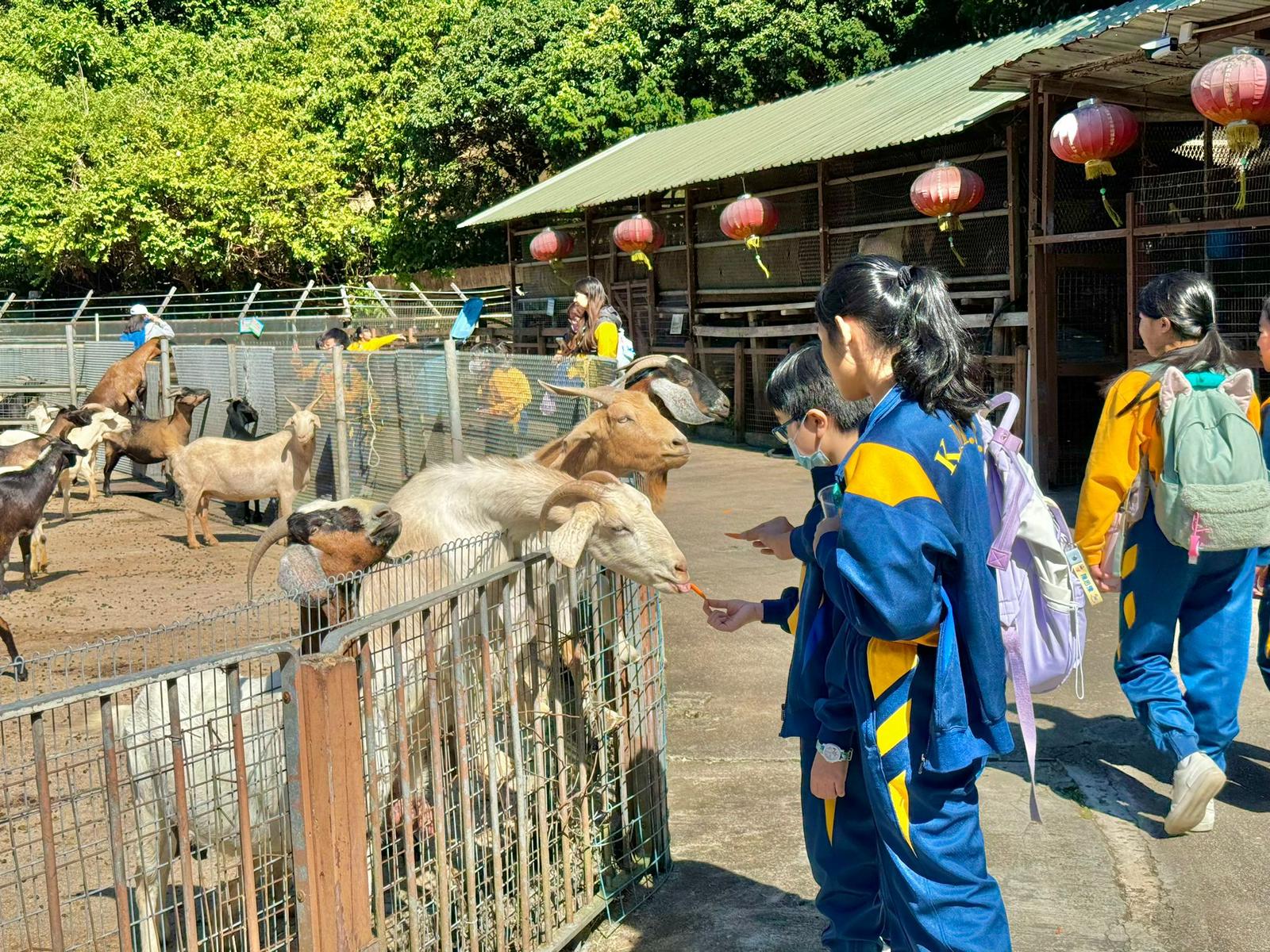 大棠生態園