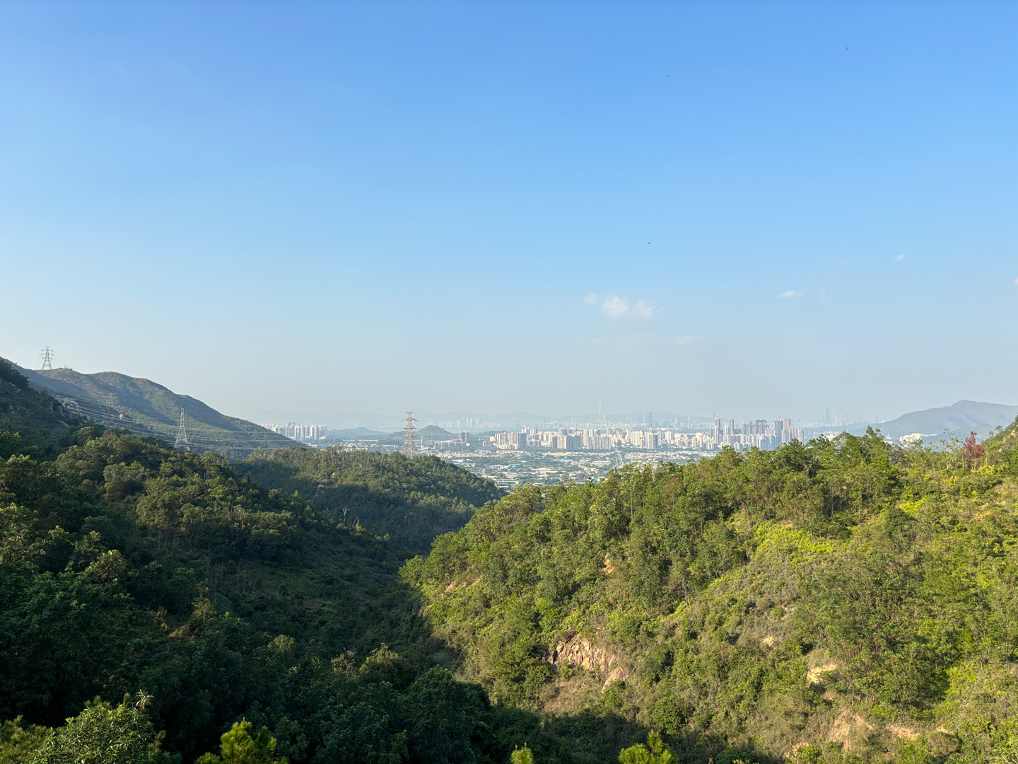 大欖郊野公園黃泥墩灌溉水塘