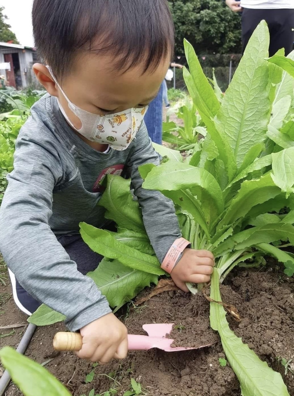 潘媽媽果園