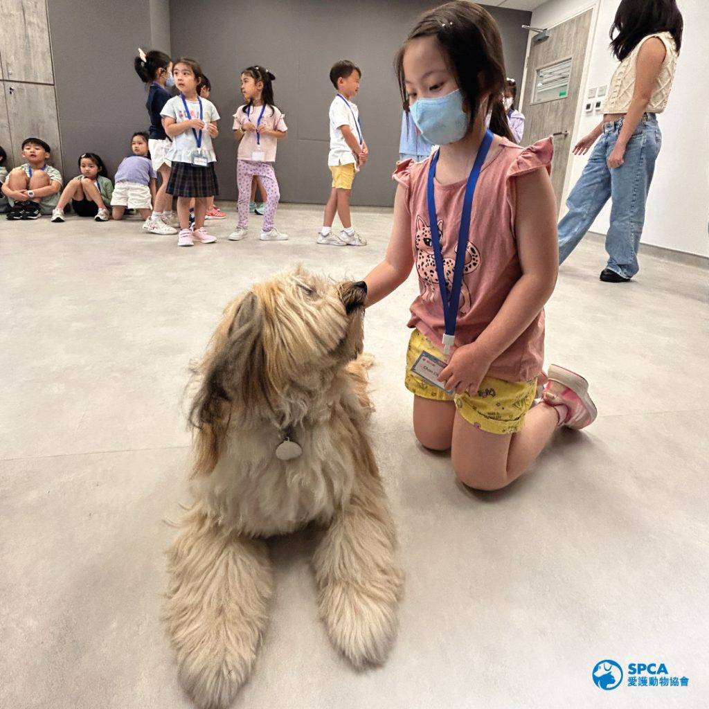 親子好去處 動物護理員 愛護動物