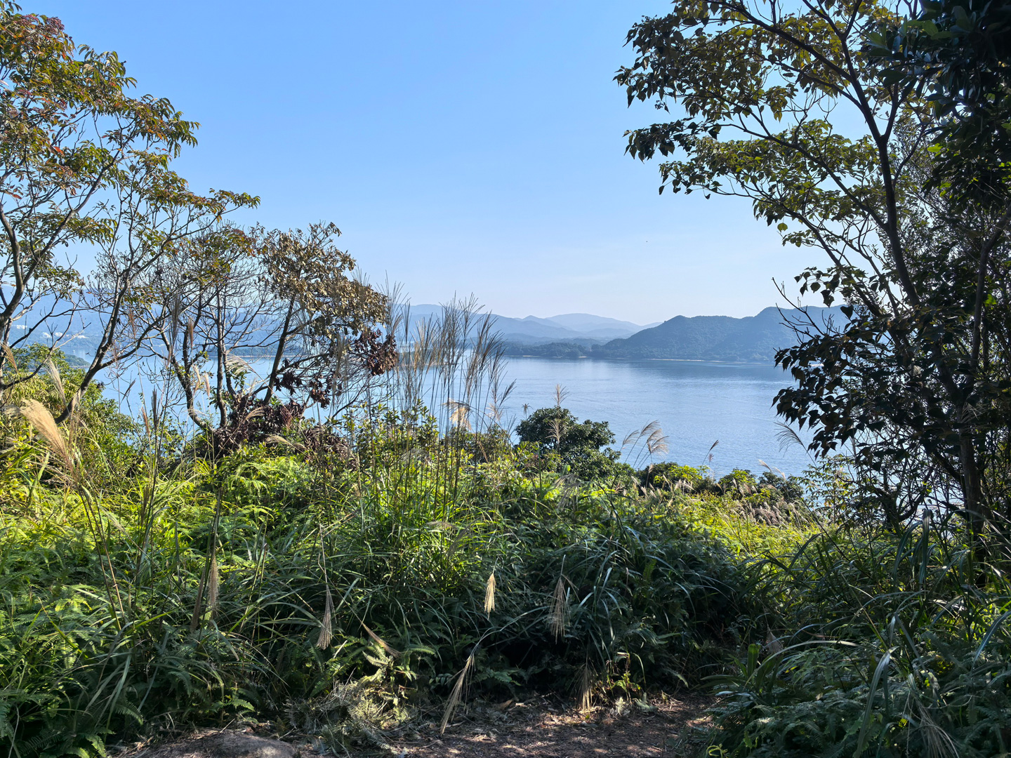 馬鞍山郊野公園白沙灣半島