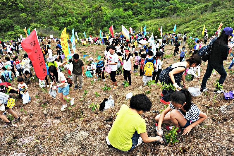 郊野公園遠足植樹日
