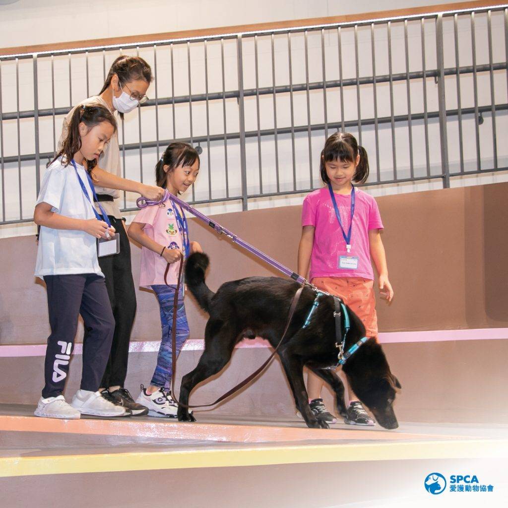 親子好去處 動物護理員 愛護動物