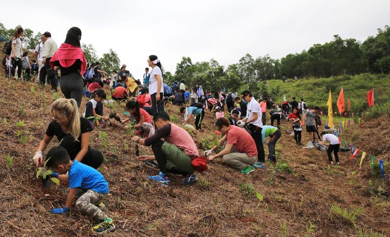 郊野公園遠足植樹日