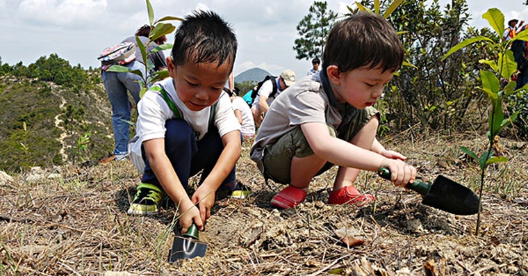 郊野公園遠足植樹日