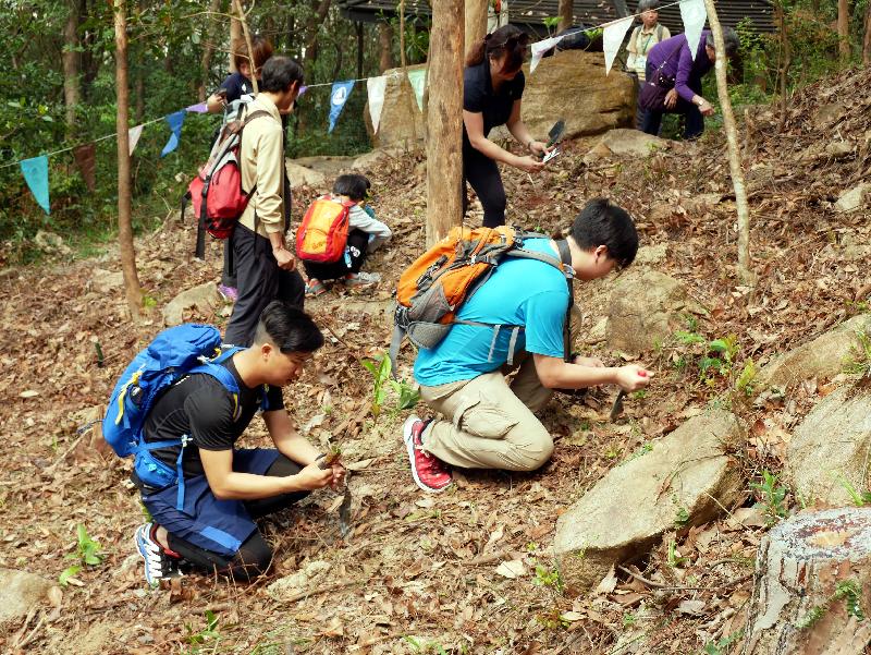 郊野公園遠足植樹日