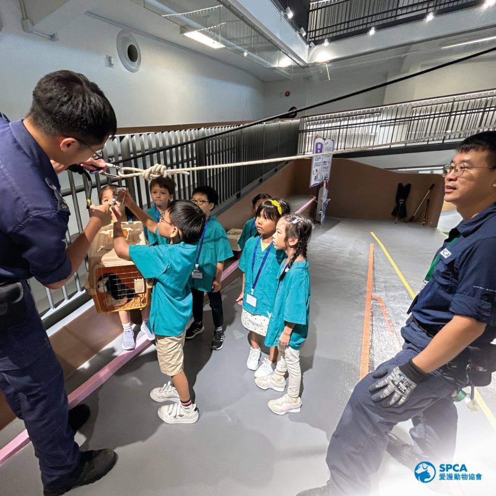 親子好去處 動物護理員 愛護動物
