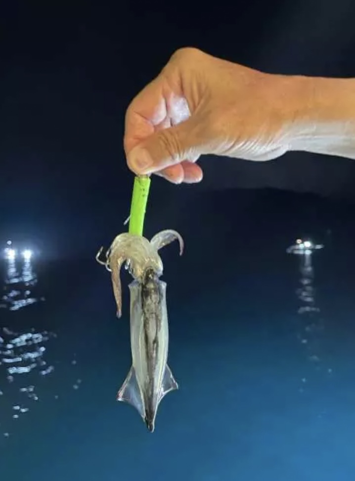 釣墨魚