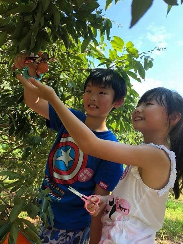 親子好去處 親子農莊