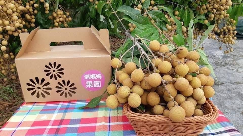 親子好去處 親子農莊