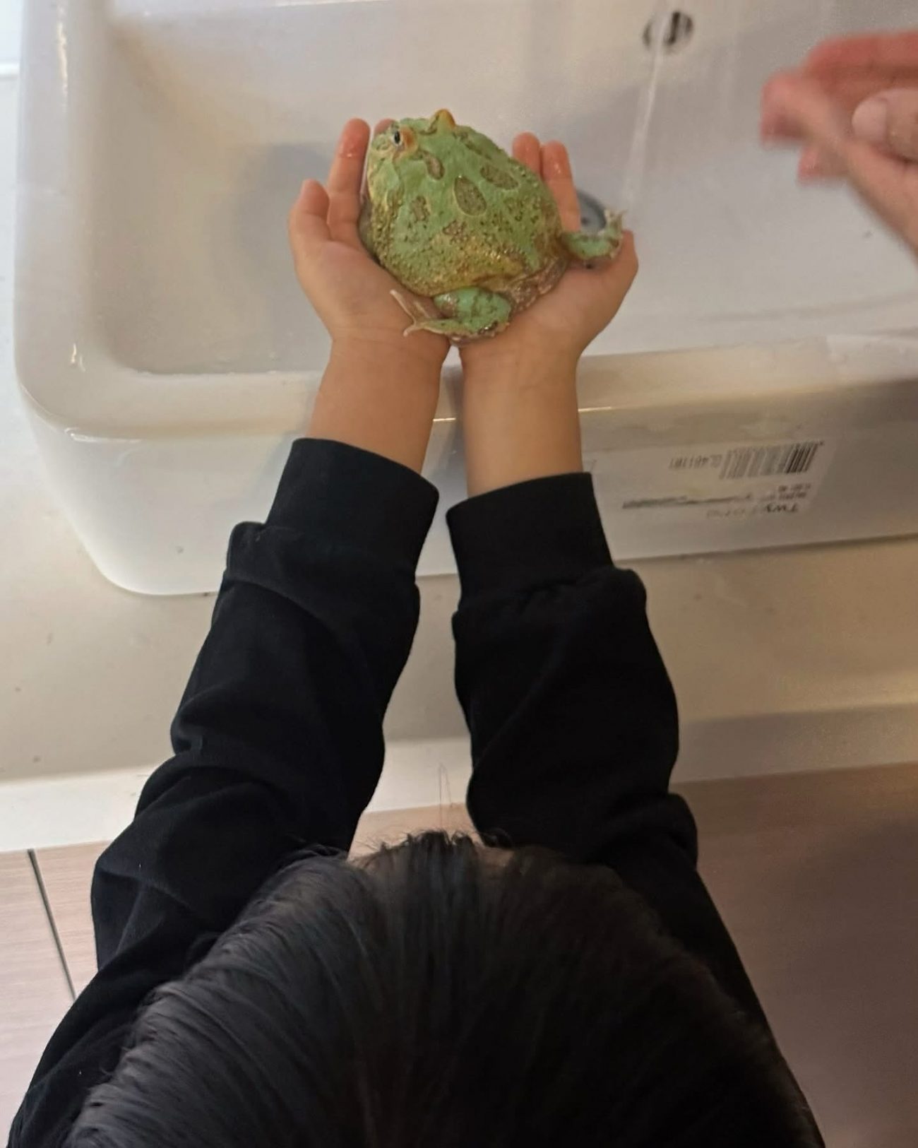 圖片來源:郊野共學
