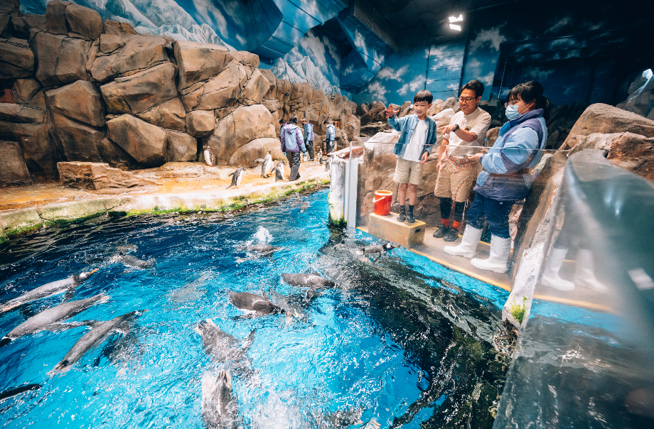 海洋公園 暑期活動