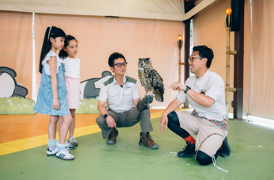 海洋公園 暑期活動