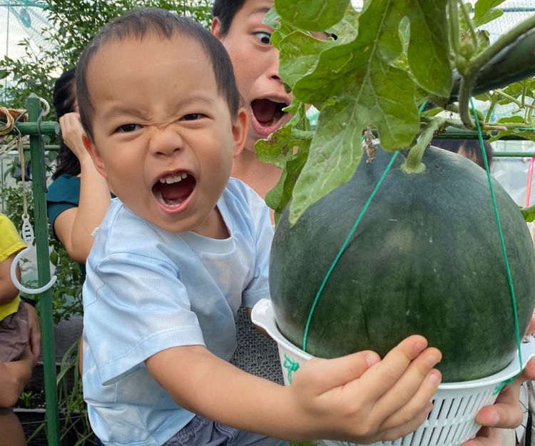 暑期活動2025｜市區都可以種大西瓜！參加天台農莊親子西瓜班體驗務農生活