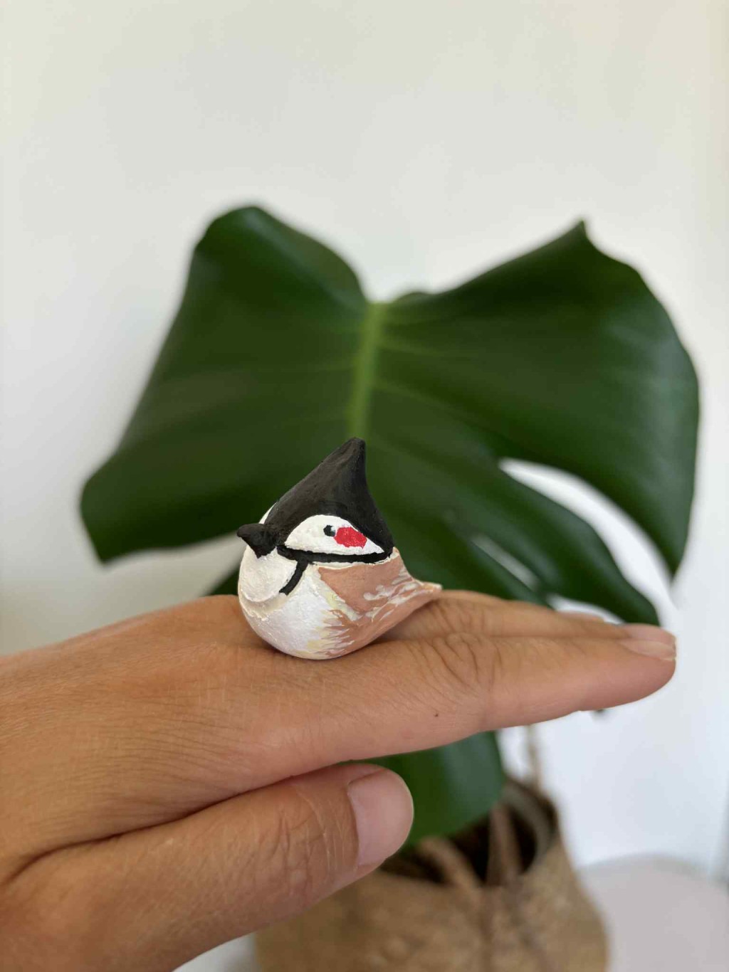 紅耳鵯