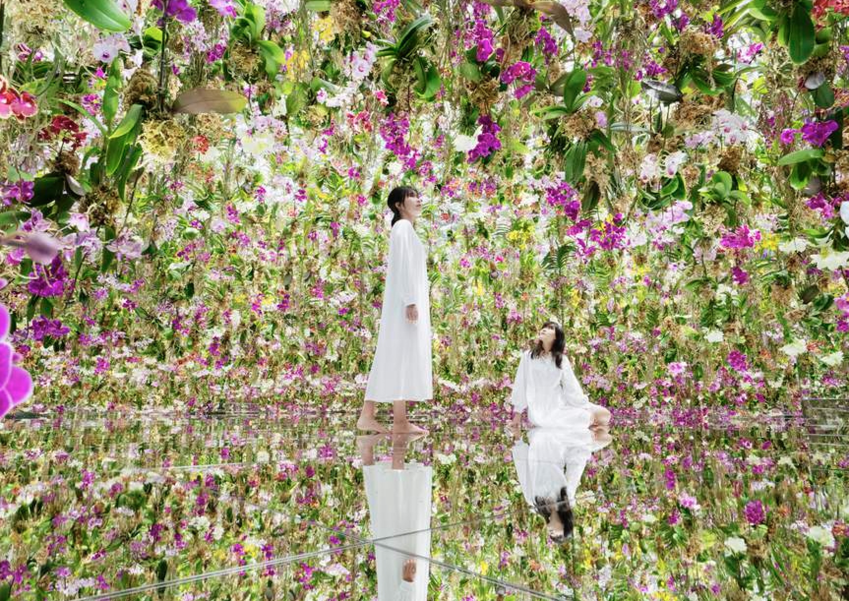 澳門teamLab