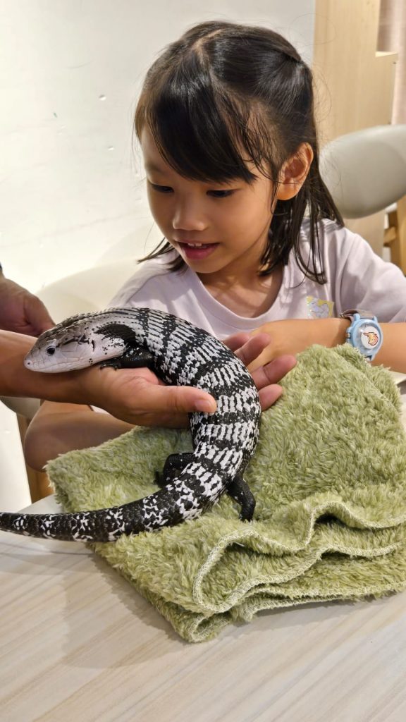 大樹先生 親子好去處 爬蟲動物探險