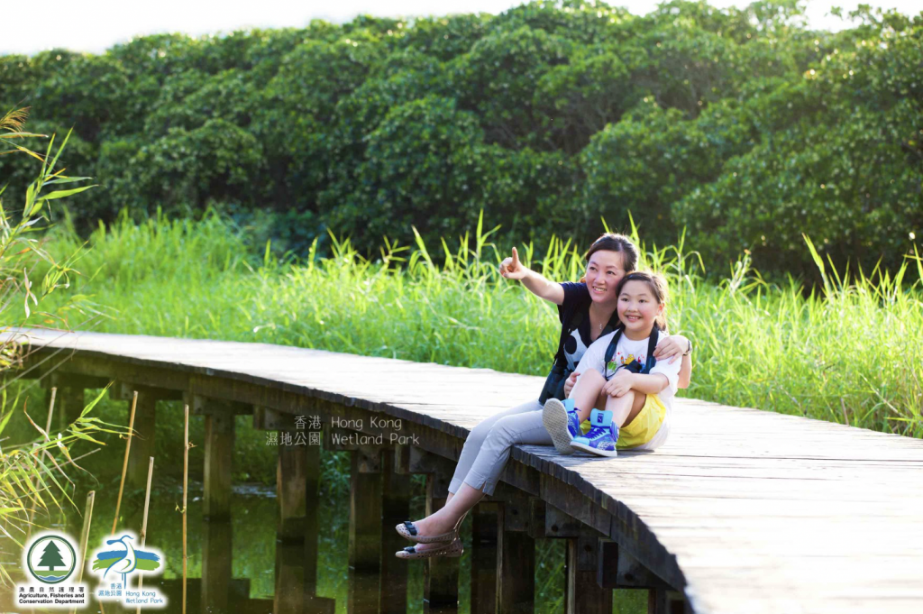 香港濕地公園 濕地公園 免費活動 工作坊