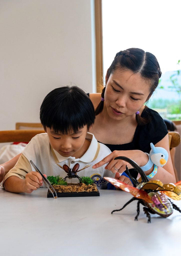 夏日水陸童樂祭 小白鷺 親子好去處 暑假2025