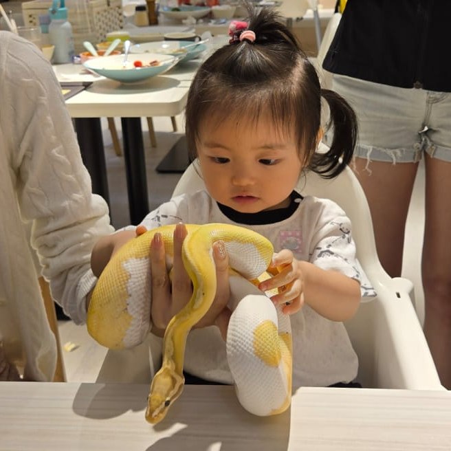 大樹先生 親子好去處 爬蟲動物探險