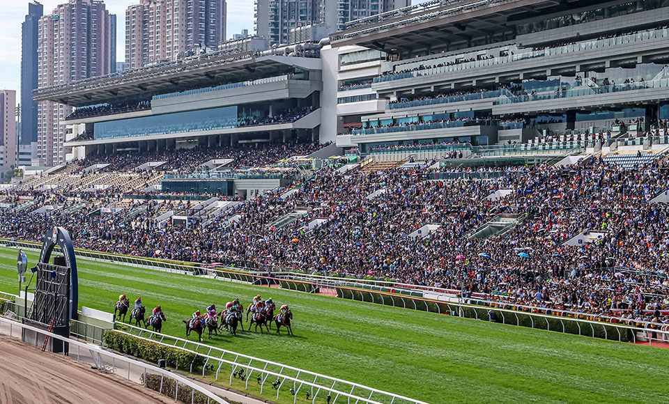 沙田及跑馬地馬場免費入場