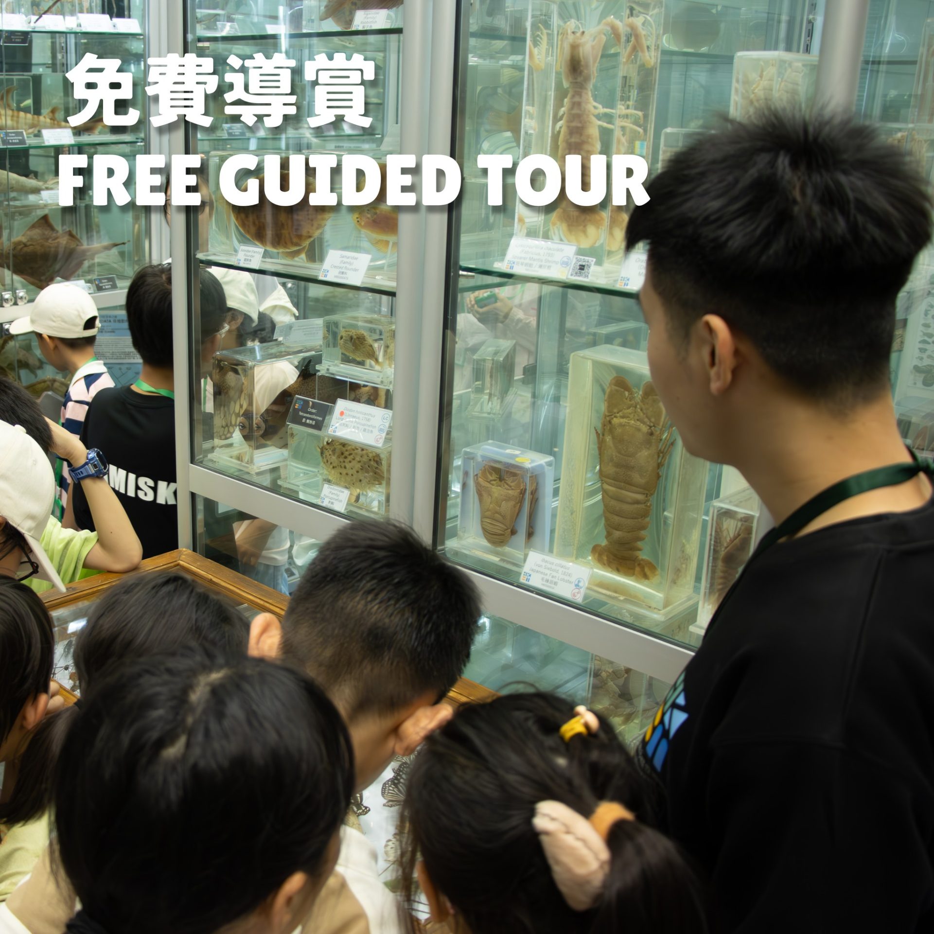 香港生物多樣性博物館