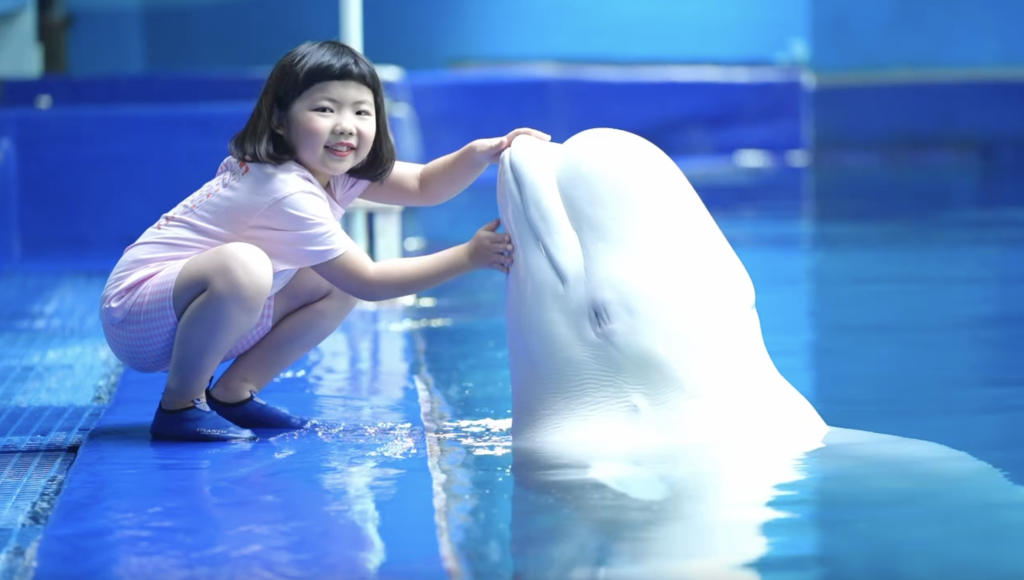 李元元 Lucy 