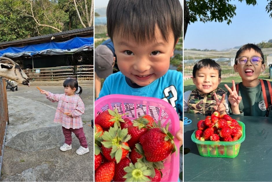 大棠有機生態園