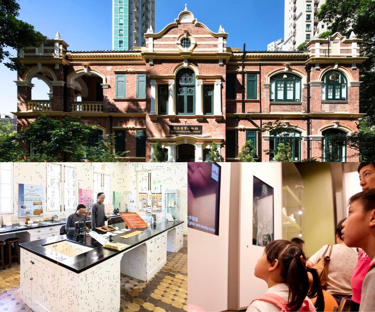 親子好去處｜香港醫學博物館30周年免費開放日：啟蒙醫學興趣、必買紀念品