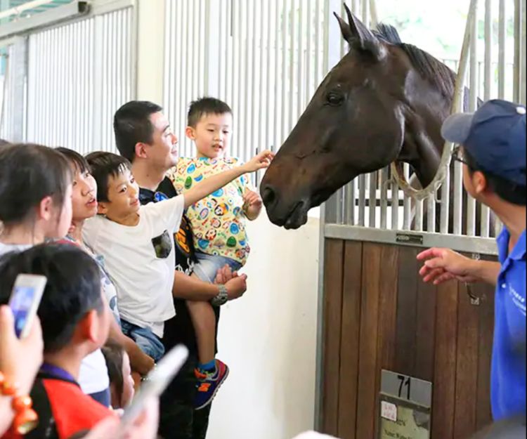 親子好去處｜超人氣親子騎馬同樂日全新開放4個時段！每位低至$75  親身體驗策騎樂趣