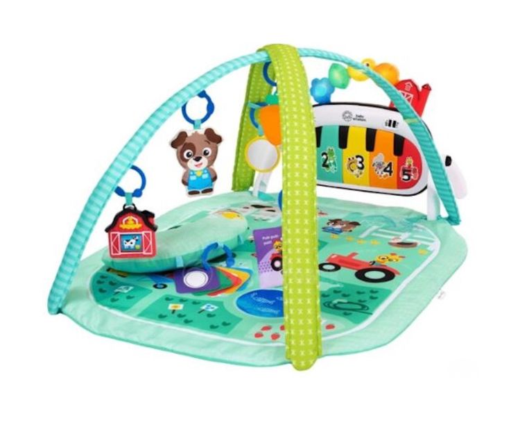Baby Einstein 四合一動感音樂探索遊戲墊