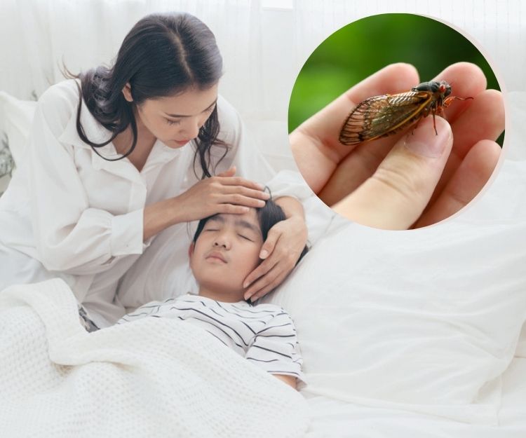 COVID變種「蟬」殺到    小朋友最易中招！即睇9大病徵！3類人要留神