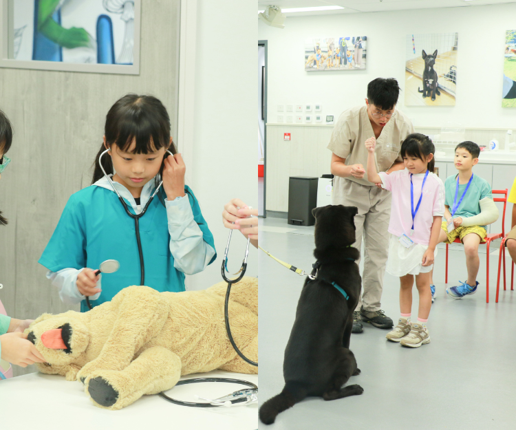 2026 SPCA夏令營動物全接觸 從了解拯救和獸醫工作 上生命教育