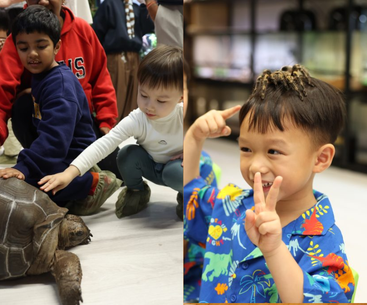 動物體驗｜逾60品種100＋動物齊集小小寵物園 0距離接觸 上生命教育
