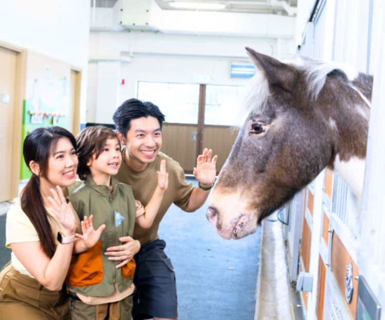 親子好去處｜全港首創「小馬大本營」強勢登場！$50起零距離親親小馬 策騎+馬房探秘一家大細必玩！