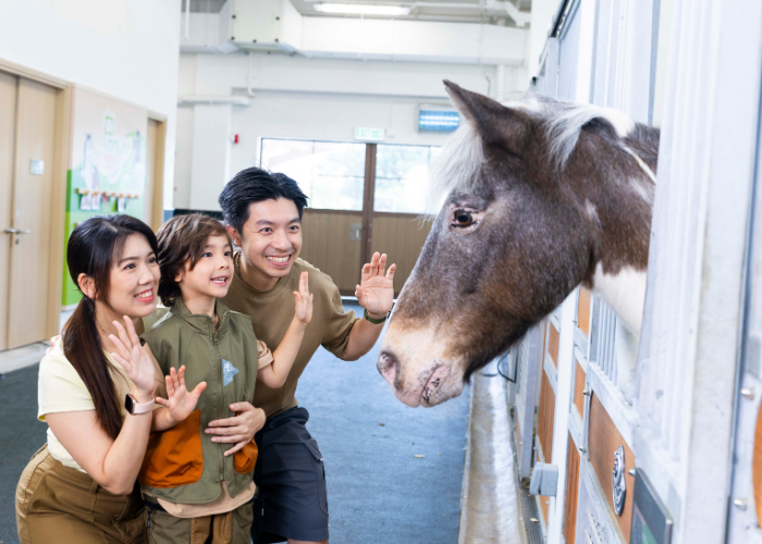 賽馬會 騎馬 小馬大本營
